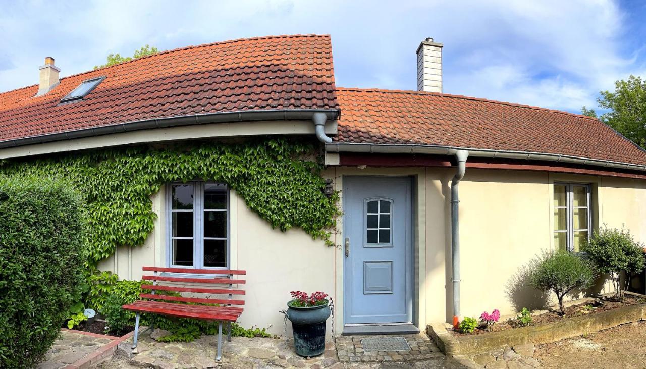 Fewo Im Kneipenviertel Altkoetzschenbroda Radebeul Exterior photo